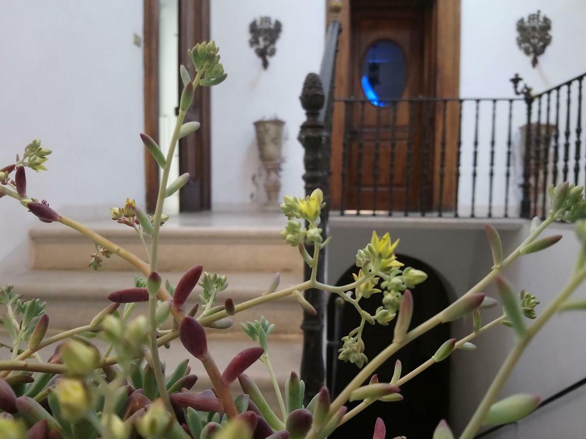 Le Foglie Di Acanto Lucera Bagian luar foto